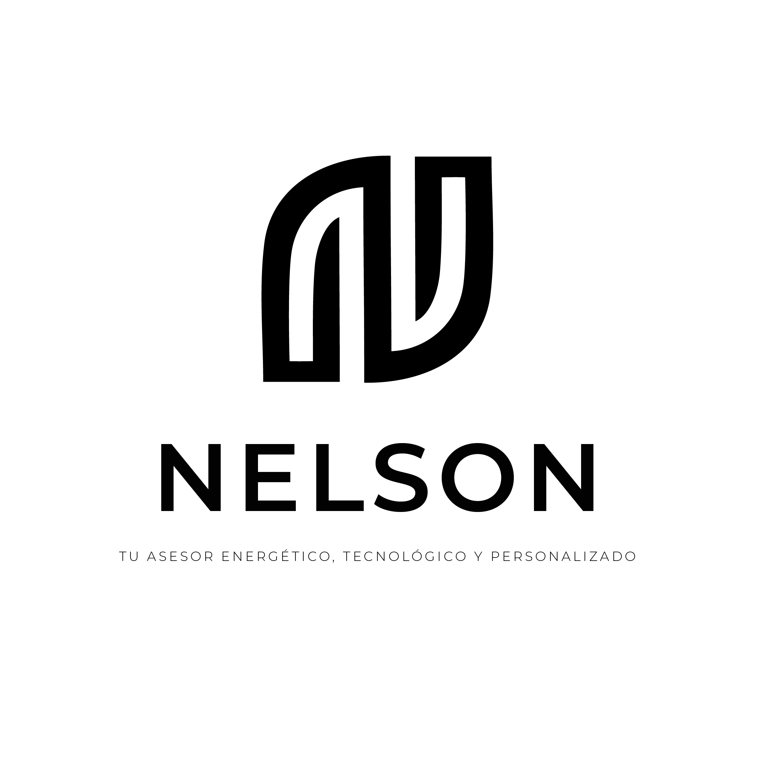 Logo NELSON